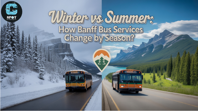 Winter vs Summer How Banff Bus Services Change by Season (1)