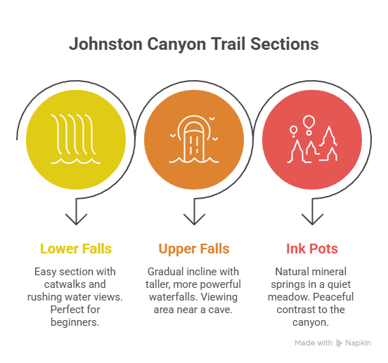 Johnston Canyon Trail Guide: Lower Falls to Ink Pots