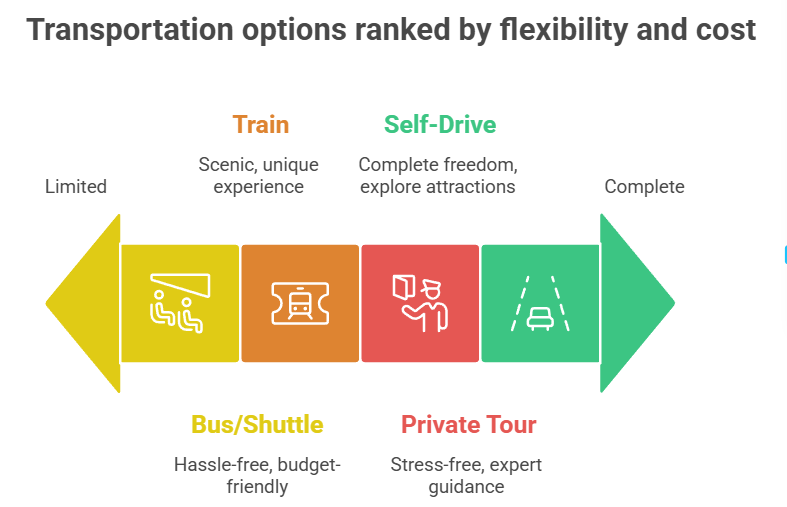 Best Transportation Options from Calgary to the Rockies