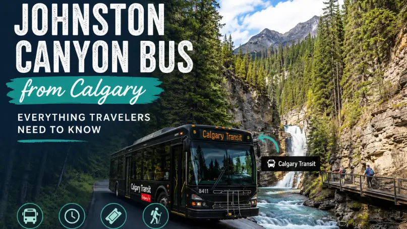Johnston Canyon Bus from Calgary: Everything Travelers Need to Know