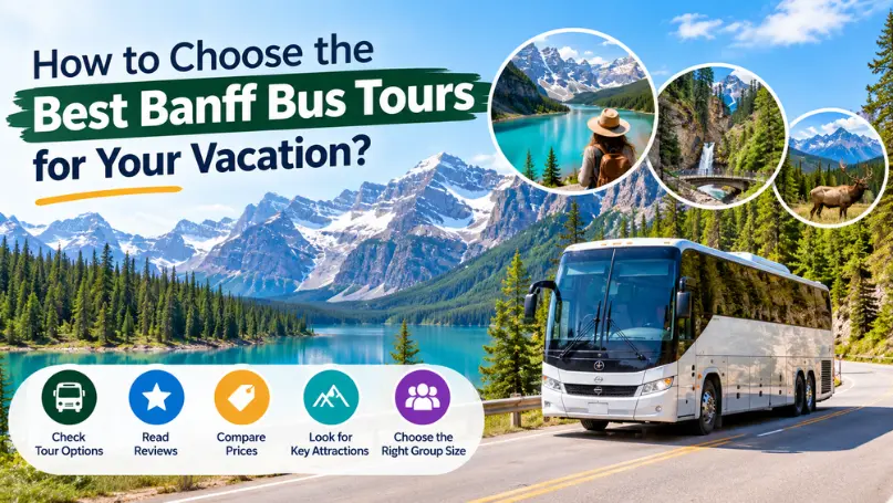 How to Choose the Best Banff Bus Tours for Your Vacation?
